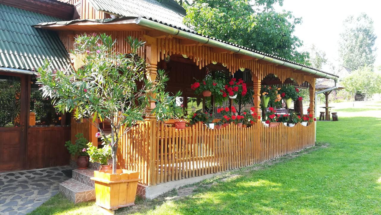 Pensiunea Maria Rohia Exteriör bild